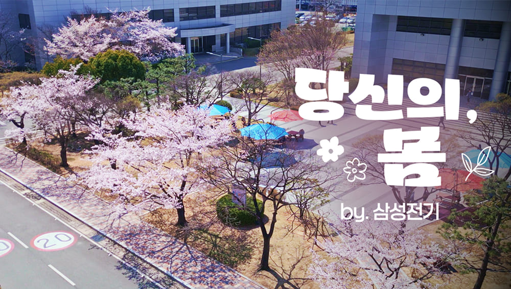 흩날리는 벚꽃 속, 우리가 기억하는 봄 | 삼성전기 당신의, 봄
