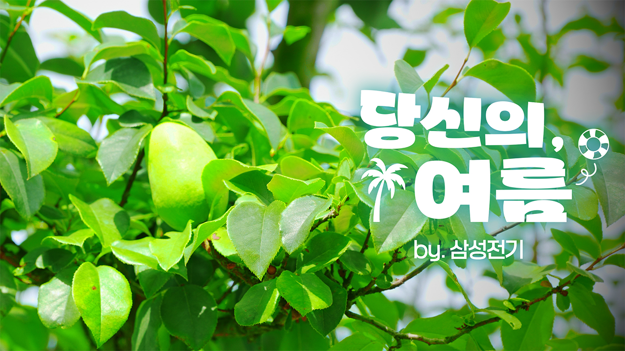 푸르른 청춘의 시작점, 여름🌿 | 삼성전기 당신의, 여름 